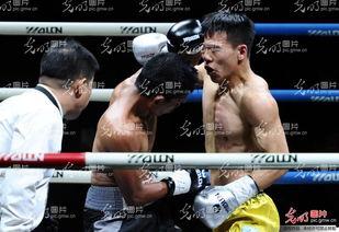 拳击林春雷个人资料,拳击赛场上的钢铁战士，荣耀与拼搏的传奇人生